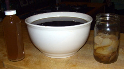 A kombucha mother in a bowl with kombucha