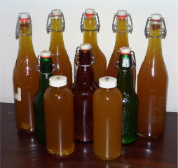 Filled kombucha bottles