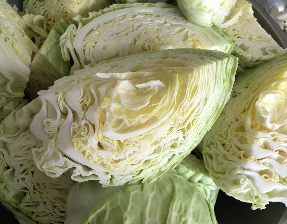 Pile of Cut Green Cabbage